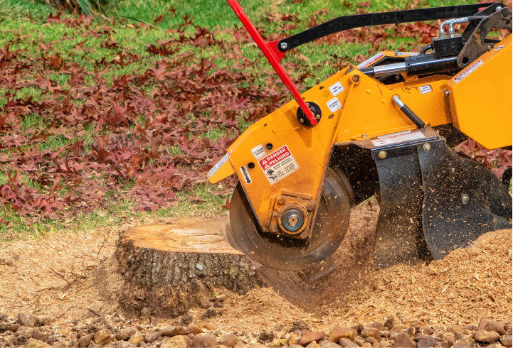 Stump Removal